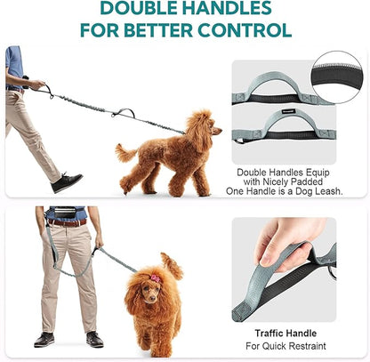 Hands Free Dog Leash with Pouch, Double Leash for Two Dogs, Retractable Bungee with Double Padded Handles, Dog Waist for Dog Walking, Running for Dogs, Dog Walking Accessories