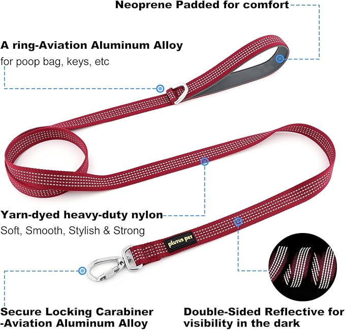 Plutus Pet Heavy Duty Dog Leash with Lockable Aluminum Carabiner, 4/6 Feet Long, Double-Sided Reflective Nylon, Padded Handle, for Puppy, Small, Medium and Large Dogs (Burgundy Red, 4/5" x 4')