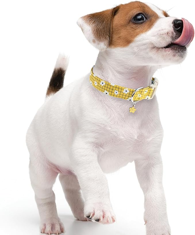 Faygarsle Floral Plaid Pattern Dog Collar, Yellow with White Flowers Summer Spring Design for Small Medium Large Dogs M