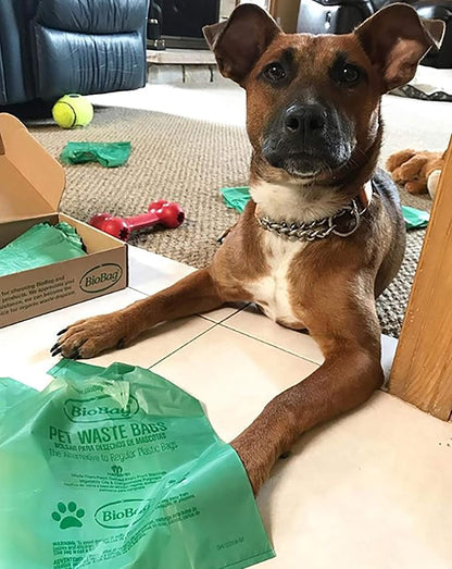 BioBag Premium Pet Waste Bags with Handles, Standard Size, 150 Count, Great For All Dog Breeds
