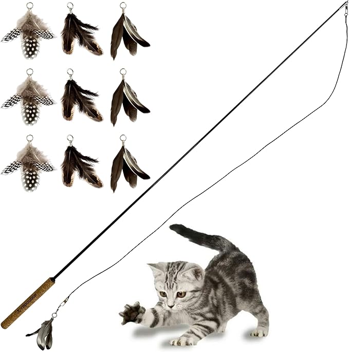 Forever Stick and 9 Cat Feather Toy Refills - The Unbreakable Cat Wand Toy, Durable Cat Toy Wand, Extra Long Cat String Toy, Cat Fishing Pole Toy for Bored Indoor Adult Cats, Cat Stick Toy