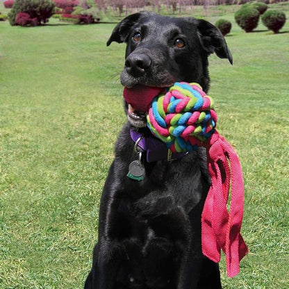 KONG - Wubba Weaves with Rope - Durable Dog Fetch and Chew Toy, Cleans Teeth - for Large Dogs (Colors Vary)