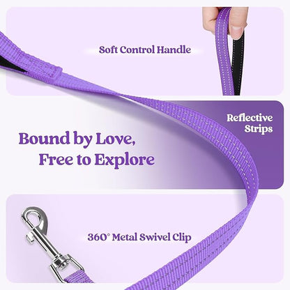 rabbitgoo Dog Harness Small Sized and Leash Set, Step in Soft Light Puppy Vest, Breathable Mesh Pet Harness, Reflective for Safe Outdoor Walking, Purple S