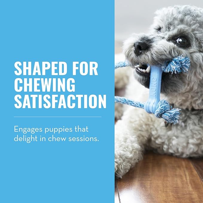 KONG Puppy Goodie Bone with Rope - Natural Rubber Bone with Cotton Rope - Teeth Cleaning Chew Toy for Growing Puppies - for XS Puppies - Blue