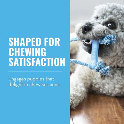 KONG Puppy Goodie Bone with Rope - Natural Rubber Bone with Cotton Rope - Teeth Cleaning Chew Toy for Growing Puppies - for XS Puppies - Blue