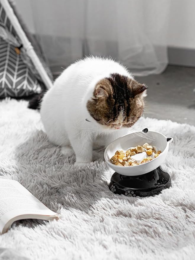 Y YHY Ceramic Cat Slow Feeder, Elevated Dog Food Bowl Tilted Design, Slow Feeder Bowl no Black Chin, Cat Shape for Dry and Wet Food