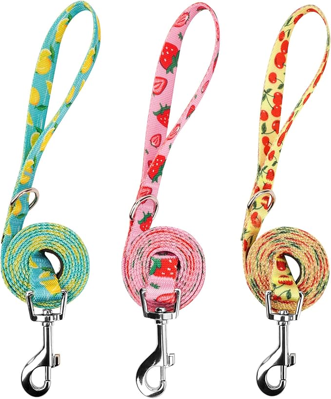 azuza 3 Pack Fruit Design Nylon Dog Leashes Strong & Durable Basic Dog Leash with Easy to Use Collar Hook for Large Dogs, L (4FT,1")