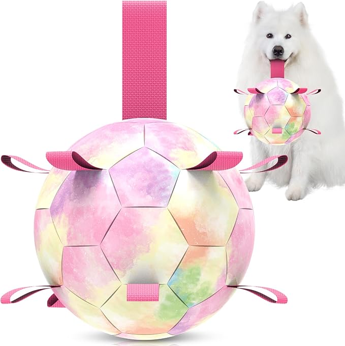 QDAN Extra Large Dog Toys Soccer Ball for Extra Large Dogs - Durable Dog Ball for Beach Pool Water Toy, Interactive Tug of War, Puppy Birthday Gifts, Rainbow (9 Inch)