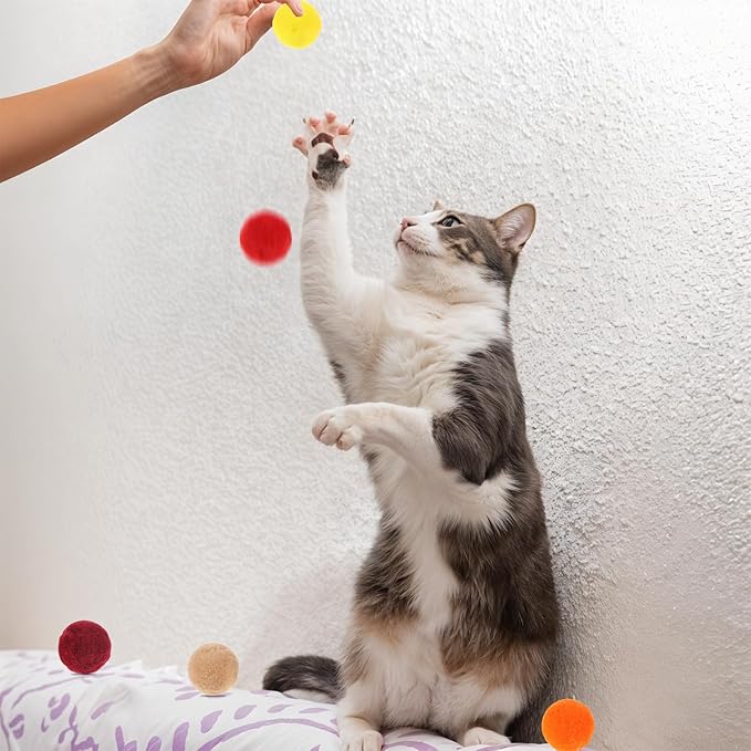 100 Pcs Cat Toy Balls 1-inch Colorful Cat Pom Pom Balls Soft Interactive Kitten Ball Cats Exercise Toys Fuzzy Kitten Interactive Playing Quiet Toy for Cats Pet(2.5 cm)