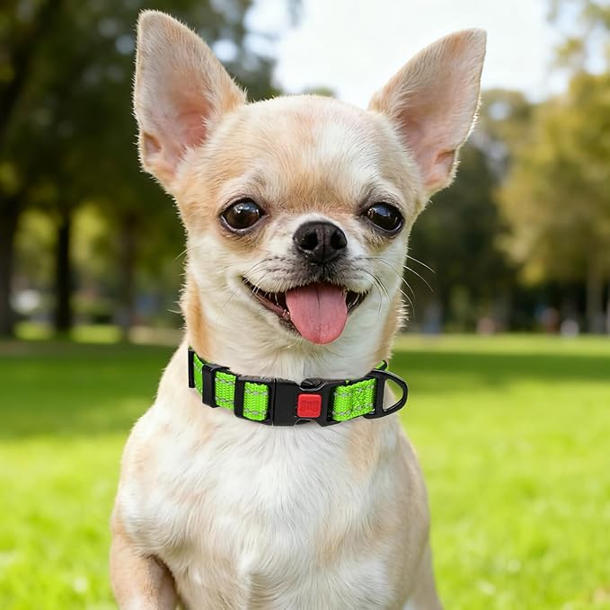 Taglory Reflective Dog Collar with Safety Locking Buckle, Soft Neoprene Padded Dog Collar for Puppy Dogs, Metal D-Ring, Adjustable Nylon Neck Strap for Daily Walking, Training & Running, Green, XS