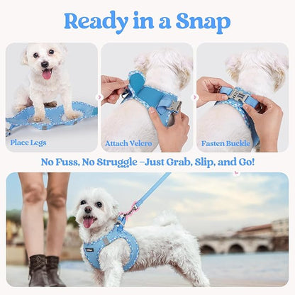 rabbitgoo Dog Harness Small Sized and Leash Set, Step in Soft Light Puppy Vest, Breathable Mesh Pet Harness, Reflective for Safe Easy Walking, Blue & Plaid Trim XXS