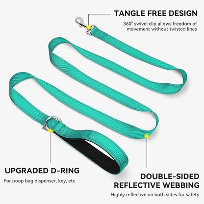 Joytale Dog Leash, 5 FT Double-Sided Reflective, Padded Handle Nylon Heavy Duty Leashes for Medium & Large Dogs Walking, Teal