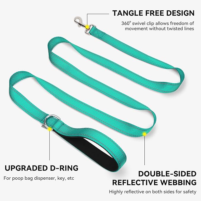Joytale Dog Leash, 4 FT Double-Sided Reflective, Padded Handle Nylon Heavy Duty Leashes for Medium & Large Dogs Walking, Teal