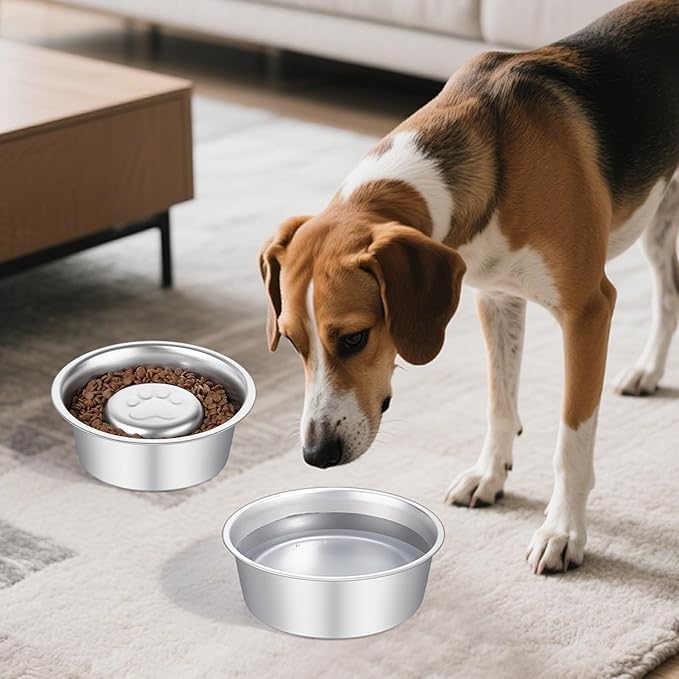 Stainless Steel Pet Dog Water and Food Bowl, 2-Pack (6.3 x 2.1 Inches),Solid, Dishwasher-Safe, and Harmless to Pets. Dog Bowl, cat Bowl