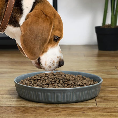 Fun Elements Shallow Dog Bowls, 10.5" Ceramic Large Food Plate for Small, Medium and Large Breeds, Non-Slip, Flat and Wide, Dishwasher Safe, Suitable for Dogs and Cats (Grey)