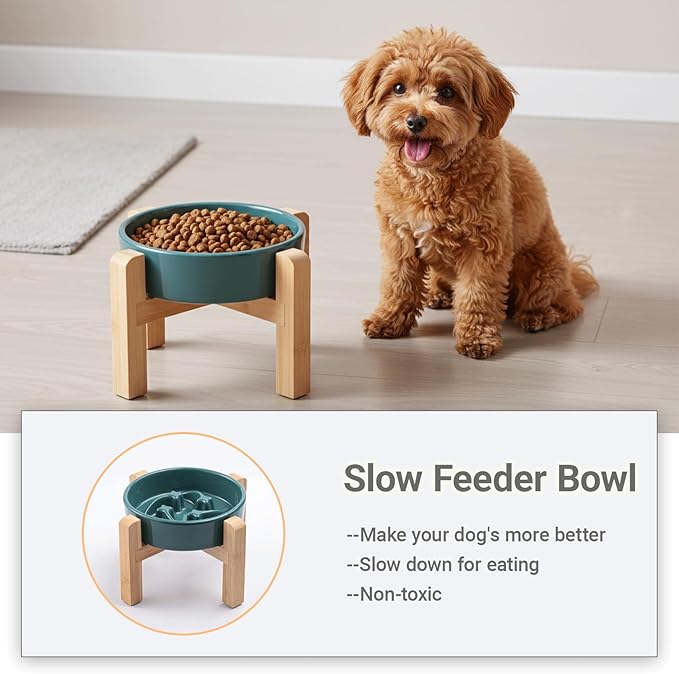 Ceramic Slow Feeder/Dog Bowl for Small Medium Dogs,Elevated/Raised Slow Feeding Dog Food Water Dish Heavy Weighted,Puzzle Eating Bowl Moder （Stars Mark-Forest Green, 8.26in）