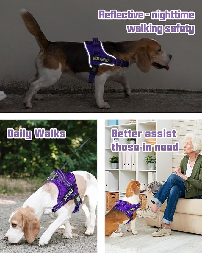 AUROTH Dog Harness and Leash Set, Soft Padded Service Dog Vest with 5.25FT Dog Leash, No Choke, Easy On Pet Vest, Adjustable Reflective No Pull Dog Harness Small Sized Dog, Easy Walking and Training