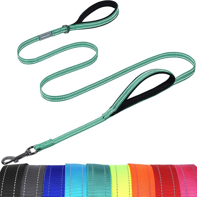 VIVAGLORY Dog Leash Twingrip Double Handle Dog Leash with Traffic Handle Control & 2 Loop for Walking & Training, Reflective Heavy Duty for Puppy Pet Collar, 6ft x 1/2in, Turquoise