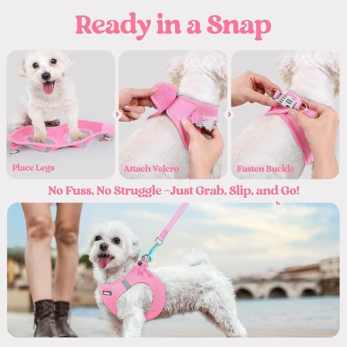 rabbitgoo Dog Harness Small Medium Sized and Leash Set, Step in Soft Light Puppy Vest, Breathable Mesh Pet Harness, Reflective for Safe Easy Walking, Light Pink L