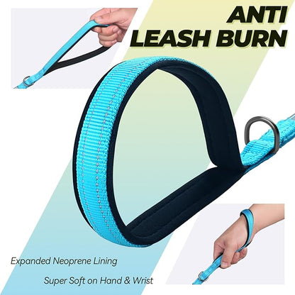VIVAGLORY Dog Leash Twingrip Double Handle Dog Leash with Traffic Handle Control & 2 Loop for Walking & Training, Reflective Heavy Duty for Puppy Pet Collar, 4ft x 1/2in, Lake Blue