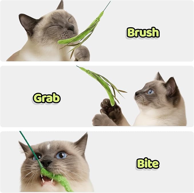 Cat Wand Toy – Cat Toys on a Stick, Interactive Cat Teaser Wand for Indoor Cats, Natural Grass-Inspired Design for Exercise, Hunting, and Bonding