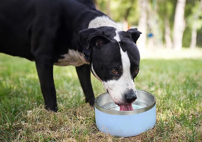 ALPINE Set of 2 Stainless Steel Dog Bowls, Non Slip, Metal Pet Bowl for Food and Water, Double Walled Insulated, Rustproof, Dishwasher Safe (64 oz, Sky Blue)