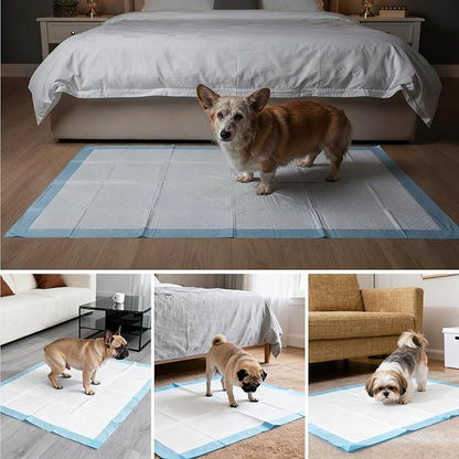 Gimars XL 6-Layer Ultra Absorbent 1200ml 48-Hour Leak-Proof Dog Pee Pads, Quick Dry Extra Large Puppy Pads for Puppy Training, Senior & Incontinent Dogs, Cats, Overnight Use, 28"x34", 50 Count