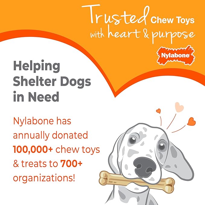 Nylabone Puppy Chew Knuckle Bone - Chewing Toys for Puppies - Puppy Supplies - Chicken Flavor, X-Large, Over 50 Ibs. (1 Count)