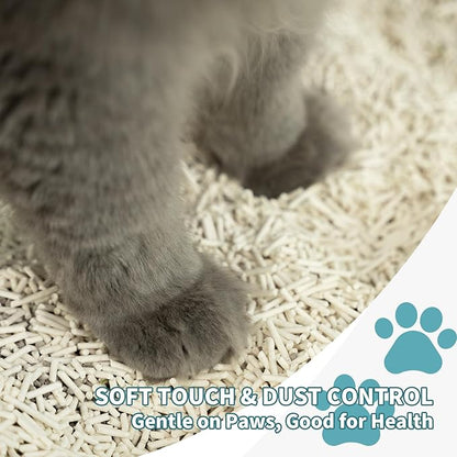 Plant-Based Cat Litter, Odor Control Quick Clumping Tofu Cat Litter, 6 lbs, Low Tracking Dust Control Lightweight Flushable Unscented Natural Kitty Litter