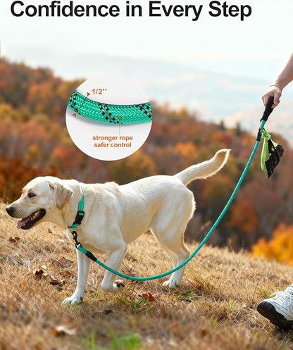 Joytale Dog Leash for Large Dogs, Heavy Duty Nylon Leashes with Comfortable Padded Handle and Highly Reflective Threads, Ideal for Walking and Training, Teal, 6'×1/2''