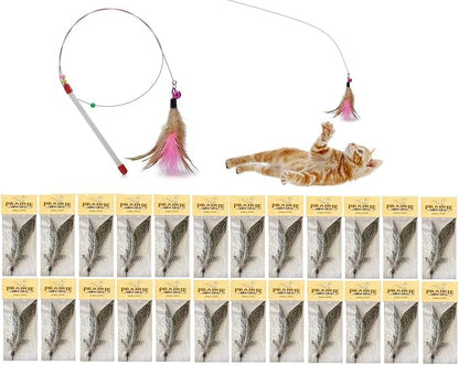 Free Cat Wand Toy with Feather and Bells and Replacement Feathers (24 Pack) Refill for Da Bird GoCat Toy Top Choice Teaser Interactive Play for Kittens All Natural Genuine Guinea Feathers