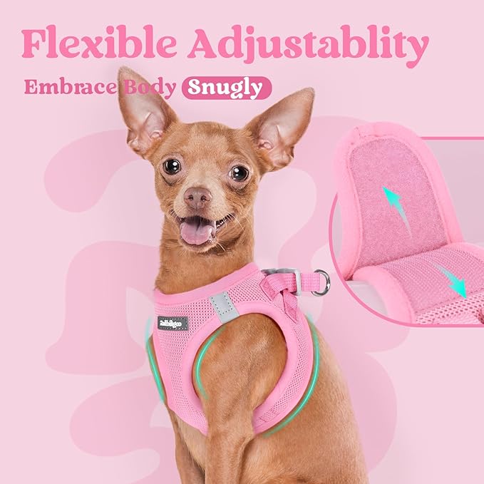 rabbitgoo Small Dog Harness, Step-in Soft Mesh Puppy Vest with Safety Buckle, Breathable Reflective Pet Harness for Large Dogs, Light Pink XXL