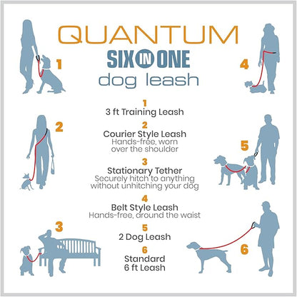 Kurgo 6 in 1 Quantum Leash, Hands Free Leash for Dogs, Running Belt Lead, Crossbody & Waist Belt Style, Reflective, Carabiner Clip, for Training, Hiking, or Jogging, 4 Colors