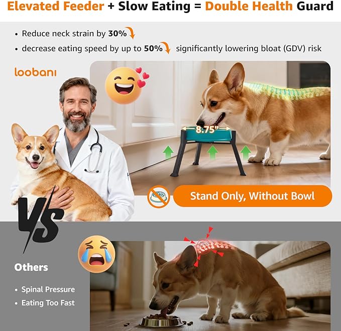 LOOBANI Raised Dog Bowl Stand: Fits for Bowls Width 5.9"-8.7" (Without Bowls), Adjustable Width Elevated Dog Bowl Stand Water Food Feeder for Medium Adult, Seniors, Older, Arthritis Dogs Black Medium