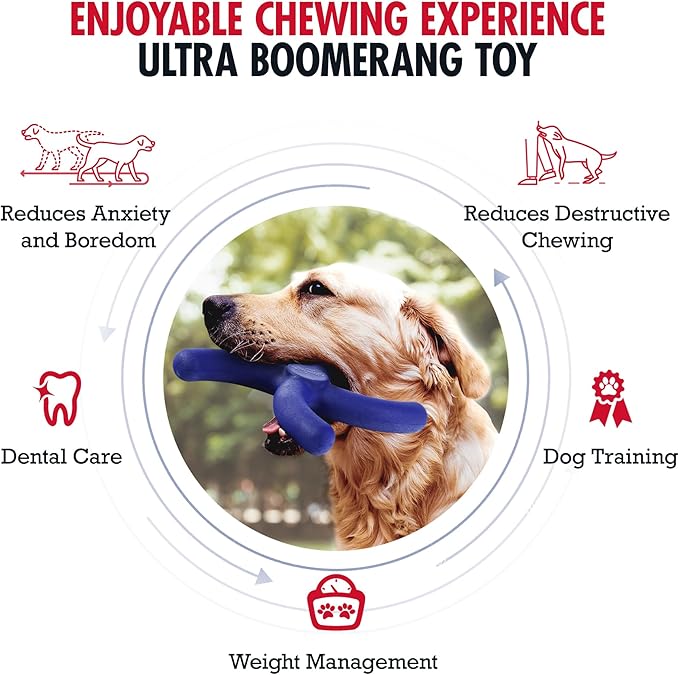 Tuff Pupper SuperChewer Tough Boomerang Toy | Lifetime Replacement | Strong Natural Rubber | Great Dog Fetch Toy | Toys for Dogs | Ultra Durable Chew Toys for Aggressive Chewers | for Large Breeds