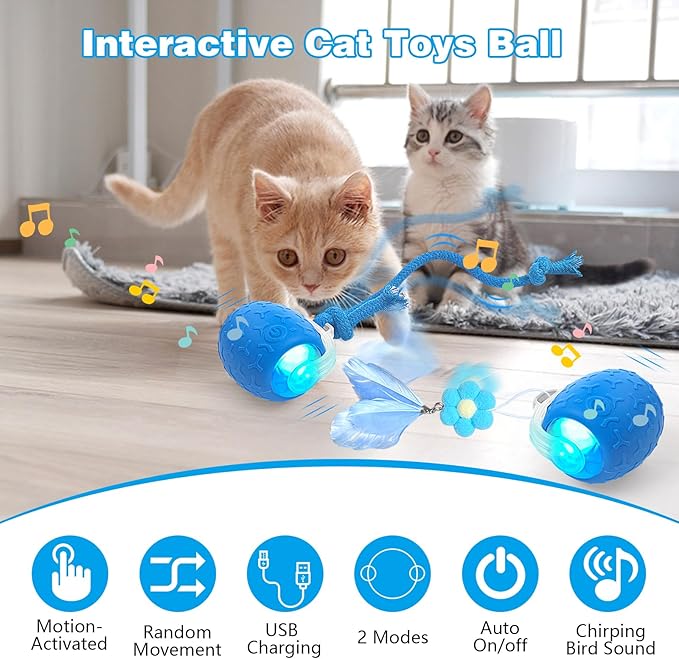 Interactive Cat Toys: Agile Moving Ball with Elastic Mesh Tail for Indoor Cats and Kittens