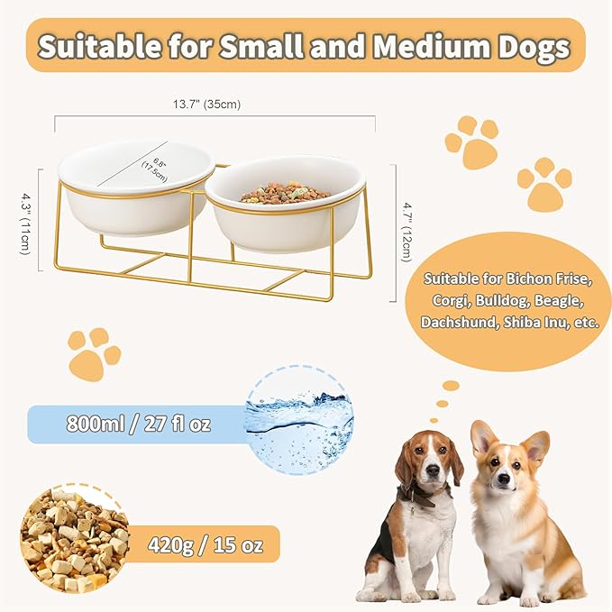 Large Small Double Elevated Dog Bowls - Raised Dog Bowl - Ceramic Dog Cat Bowl Set for Food and Water - Pet Comfort Feeding Bowls with Gold Iron Stand