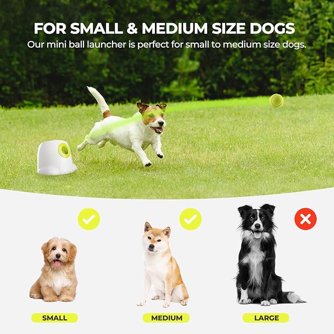 ALL FOR PAWS Automatic Ball Launcher for Dogs Interactive Puppy Pet Ball Indoor Thrower Fetch Machine, 3 Balls Included (2 inch) + Six Tennis Balls Bundle