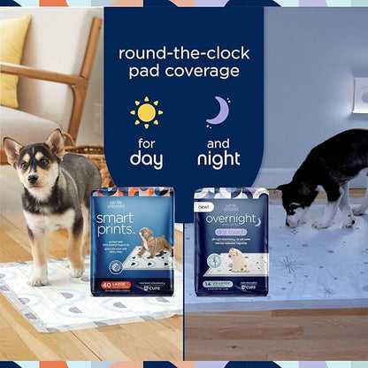 Pet Life Unlimited Smart Prints XXL Puppy Pads for Dogs, Potty Training Pee Pads, 60 Count, 30" x 36", Leak-Proof, Super Absorbent, Quick-Dry, Patterned Pads with Odor Control, Made in USA