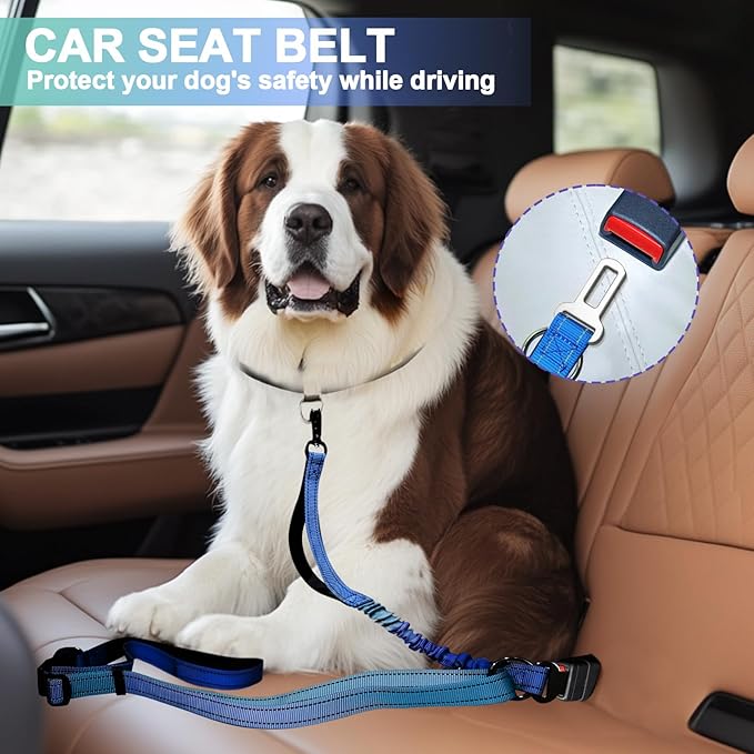 Heavy Duty Hands Free Dog Leash with Quick Release Carabiner and Adjustable No Pull Bungee Dog Running Waist Leash，for Walking and Training with Car Seat Belt 4-6FT (Aquamarine)
