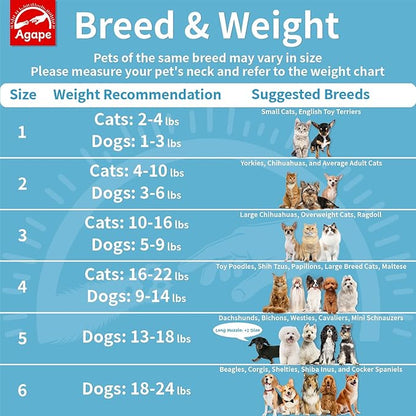 Agape Soft Dog Cone for Small Dogs & Cats, Comfy Dogs Recovery Collar After Surgery, Adjustable E Collar Alternative to Stop Licking, Protective Elizabethan Cones for Pup&Kitty, Comfortable Dog Cones
