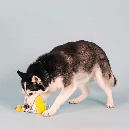 Fringe Studio Plush Dog Toy, Time to Celebrate, Pet Shop Collection (314225)