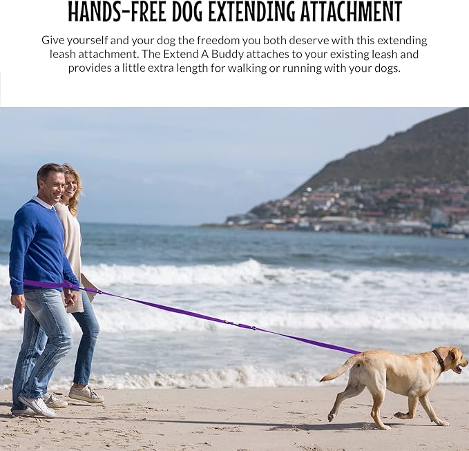 The Buddy System Accessories for Our Dog Leashes Made in USA (Extender, Regular Dog Purple)