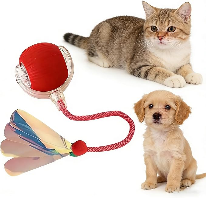 RightBliss Automatic Interactive Cat Dog Toy with Elastic Tail: Chirping Sound, Smart Obstacle Avoidance for Indoor Cats & Kittens (Red Ball with Feather Tail)