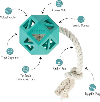 Fringe Studio Pull My Way Turquoise Rubber Dog Toy, Pet Shop Collection (518030)