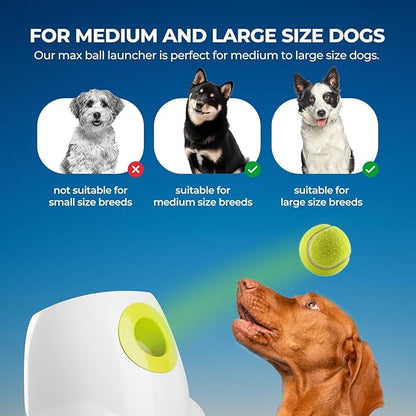 ALL FOR PAWS Automatic Ball Launcher for Dogs, Interactive Tennis Ball Outdoor Thrower for Medium to Large Dogs, Rechargeable Dog Toy, 6 Balls Included