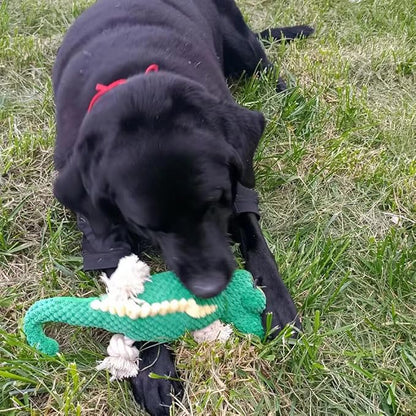 Squeaky Dog Toy,Stuffed Pet Toys,Plush Lizard Dogs Toys with Durable Rope Legs Interactive Dog Toy,Tear Resistant Durable Chewing Pets Toys for Puppy Middle Large Dogs