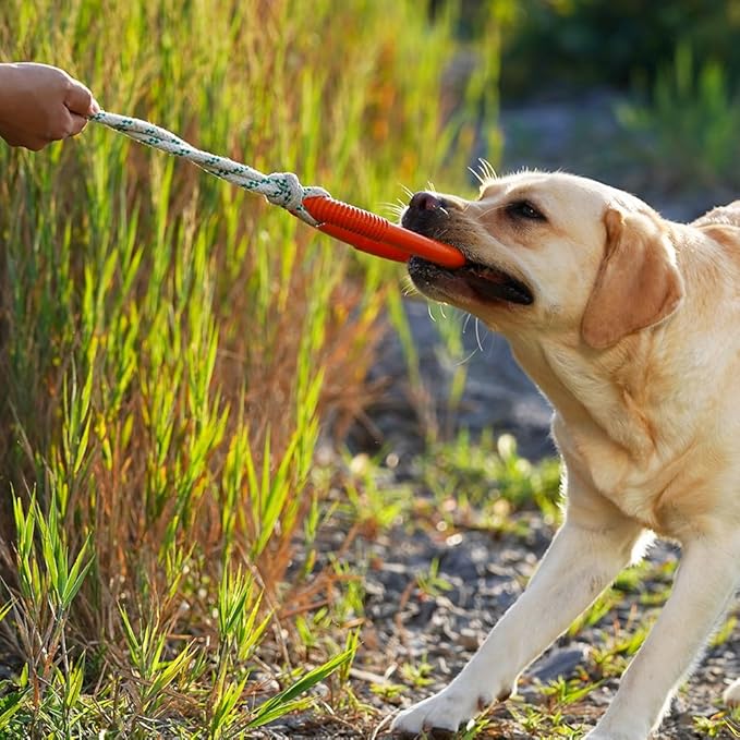 Green Sheep Natural Rubber Ring Rope Toy for Dogs, Durable Chew & Tug of War Dog Toy, Interactive Pet Toys for Small to Large Dogs, Medium Orange with Recycle Cotton Rope