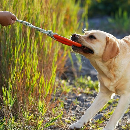 Green Sheep Natural Rubber Ring Rope Toy for Dogs, Durable Chew & Tug of War Dog Toy, Interactive Pet Toys for Small to Large Dogs, Medium Orange with Recycle Cotton Rope