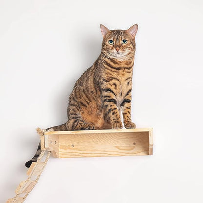 Wall-Mounted Bridge & Shelf – Multi-Functional Climbing Step with Natural Sisal Rope, DIY Feline Highway for Kittens to Large Cats Set